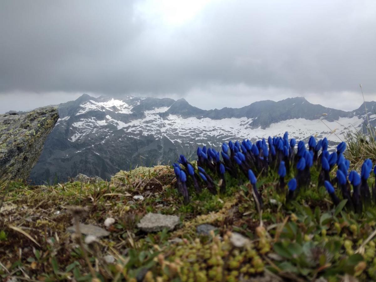 Ferienhaus Herrenschmiede Obervellach Dış mekan fotoğraf