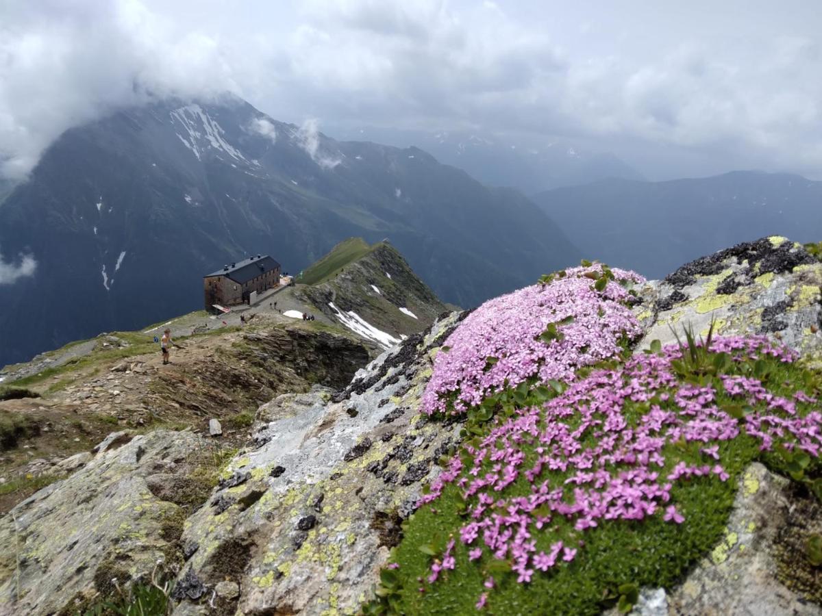 Ferienhaus Herrenschmiede Obervellach Dış mekan fotoğraf