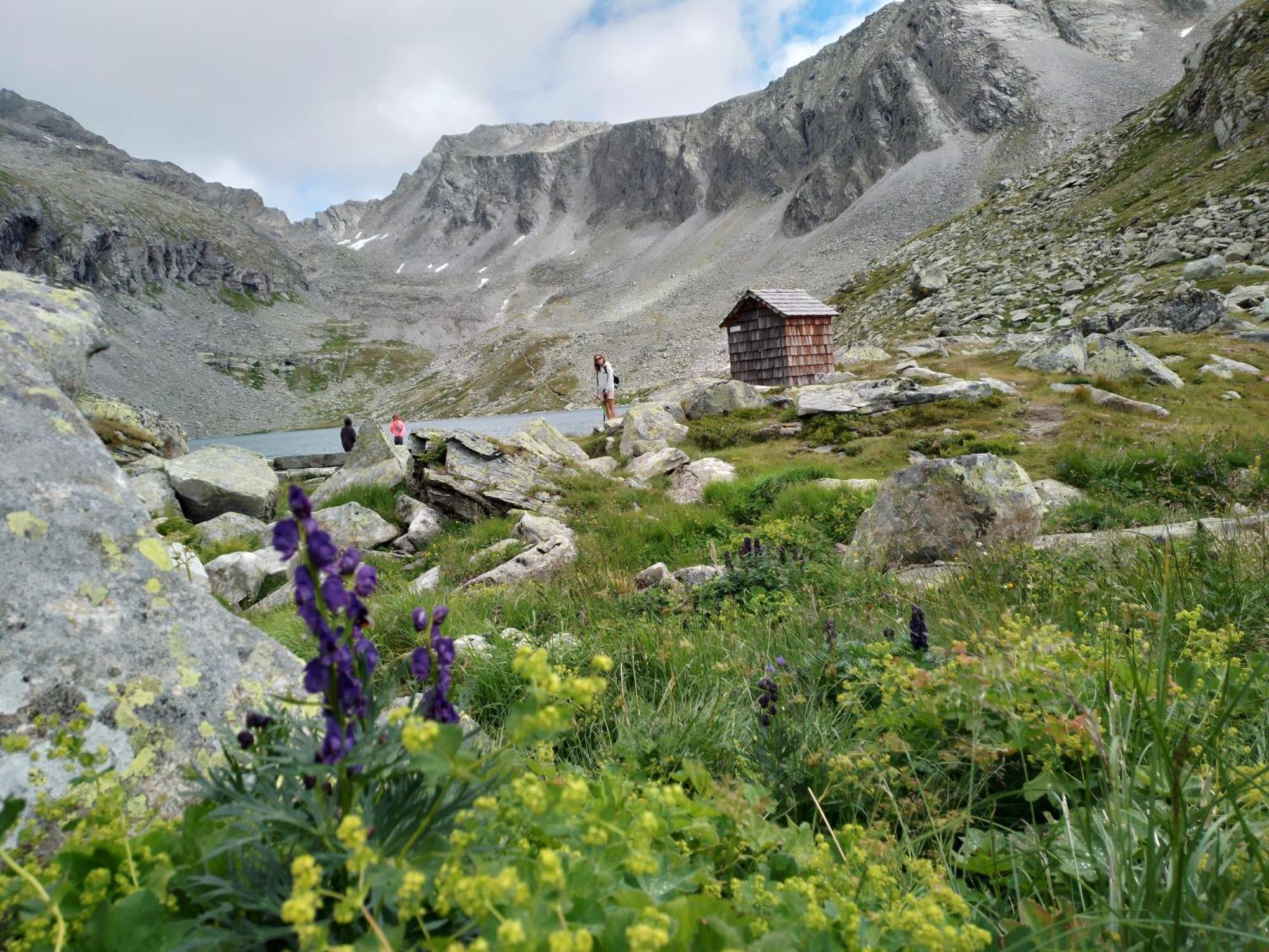 Ferienhaus Herrenschmiede Obervellach Dış mekan fotoğraf